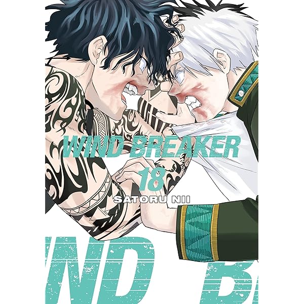 Amazon.com: WIND BREAKER Vol. 15 eBook : Nii, Satoru, Nii